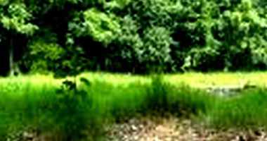 Terreno amplo sem área construída, ideal para investimento