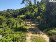 Fazenda Trindade com 282 ha, 12 casas, benfeitorias e mata nativa