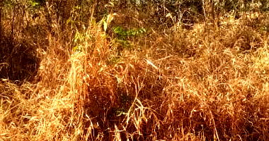 Lote 42 em Condomínio com 943m² em Jaboticatubas/MG