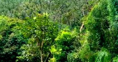 Terreno rural amplo com 25.686m², ideal para investimento