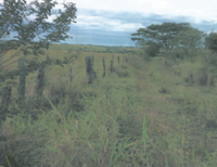 Sítio com 12,27 ha, área rural