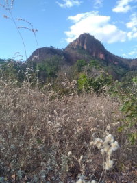 Chácara Serrinha Rural com 27 Hectares