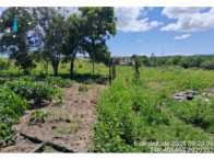 Terreno rural com 6,05 hectares, benfeitorias e curral
