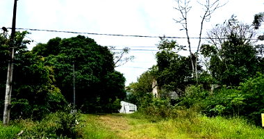 Terreno amplo com galpão industrial e casa de madeira, área total 5.010m²