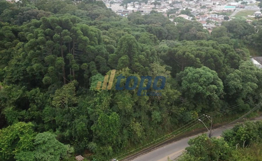 Terreno Urbano de 6.050m² em Colombo/PR
