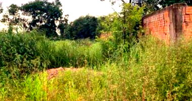 Espaçoso Terreno Desocupado de 1.440m² em Área Privilegiada