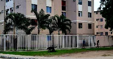 Apartamento com 2 quartos em Itaboraí/RJ