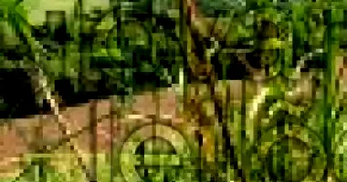 Terreno Rural 2,6 hectares em Coronel Freitas/SC - Oportunidade única!