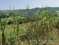 Terreno Rural 2,6 hectares em Coronel Freitas/SC - Oportunidade única!