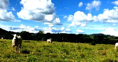 Imóvel Rural com 45,7370HA em Colorado do Oeste/RO
