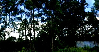 Terreno Rural com 50.560m² em Rio do Campo/SC