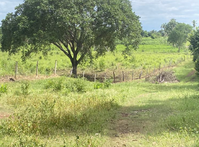 Fazenda rural com 56,67 hectares e benfeitorias