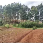 Gleba Rural de 5,33 hectares em Frei Rogério - SC