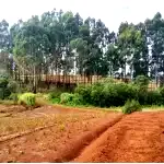 Gleba Rural de 5,33 hectares em Frei Rogério - SC