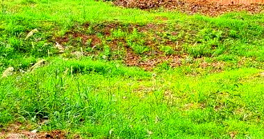 Terreno amplo de 559,71m² com direitos possessórios, sem benfeitorias