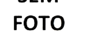 86 Metros Cúbicos de Madeira de Eucalipto - Lote 01