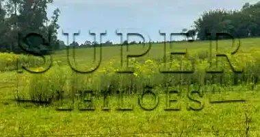 Fração de Terras com 5,2972 hectares em Novo Cabrais/RS