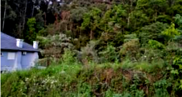 Lote Urbano de 450m² em Monte Belo do Sul/RS