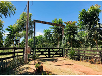 Chácara com 4,26 hectares, casa e piscina