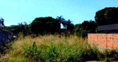 Terreno amplo 556 m² no Parque Flamboyant, pronto para construir