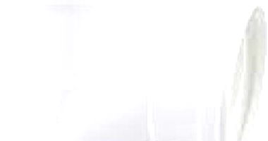 Lote 008 - Itens de Hidrânica Diversos