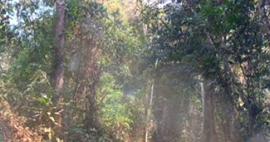 Grande Fazenda - 17.278,48 hectares em Rio Branco/AC