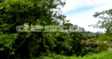 Terreno em Ribeirão Pires/SP - Oportunidade Única