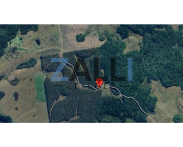 Área Rural de 550.000m² em Cambará do Sul/RS