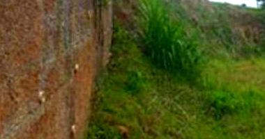 Terreno Urbano com 369,60m² em Rodeio-SC