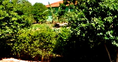 Terreno com 800m² no Centro de Guarantã/SP