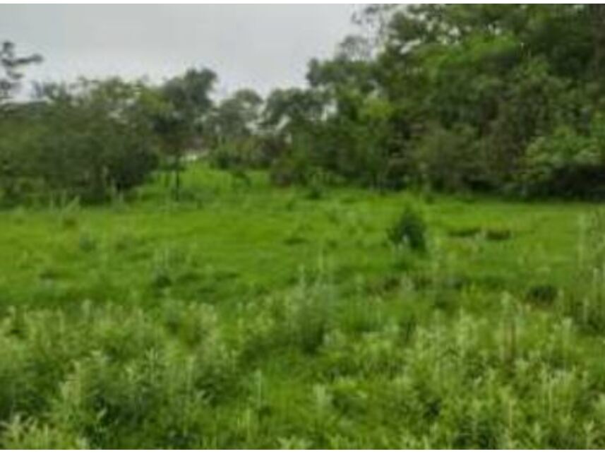Terreno com 19.690m² em Chácaras Saia Velha