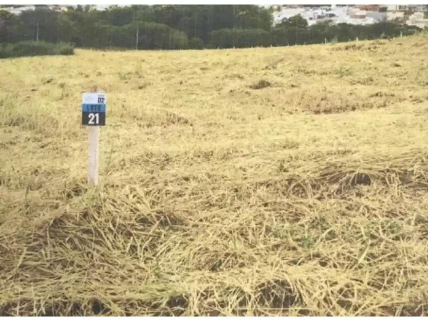 Terreno Desocupado em Royal Residence com 239,75 m²