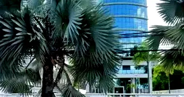 Loja Comercial Ocupada em Leilão com 46m²