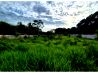 Terreno amplo 1.380m² com boa infraestrutura, desocupado