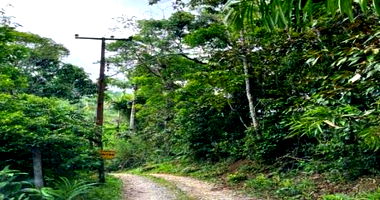 Terreno Urbano em Balneária Caiubá com 592m²