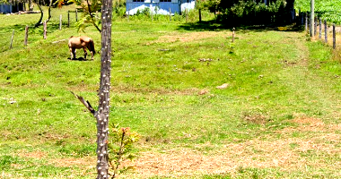 Fração de Direitos Possessórios em Paulo Lopes/SC