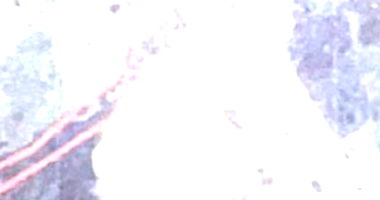 Terreno em Pescaria Brava com 1821m²