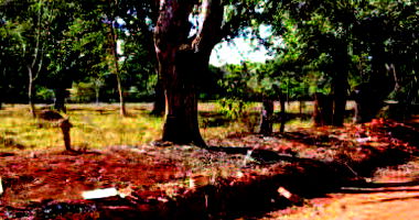 Chácara ampla com 4091,5m² em Goiânia-GO, terreno ideal para investimento