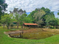 Fazenda com 151 hectares - Rianópolis/GO - Excelente oportunidade