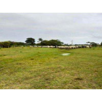 Fazenda Taxy com 256,92 ha em Oriximiná/PA - Imóvel
