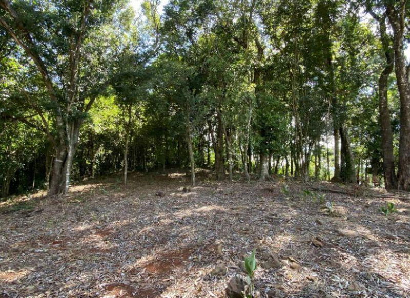 Chácara Urbana com 5.602,65 m² em Francisco Beltrão