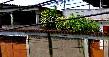 Casa Ocupada em São Matheus com 269,10m²