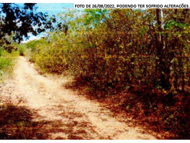 Sítio Arcenio - Terreno Rural em Iguatu/CE