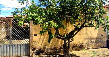 Casa aconchegante com 2 quartos, banheiro e 250m² de área total