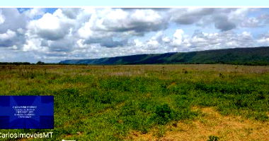 Fazenda Valentino - Imóvel Rural com 1.899,27 Hectares
