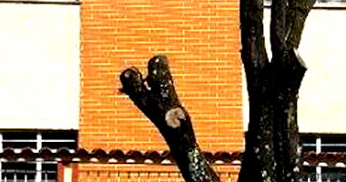 Apartamento padrão com 2 quartos, 1 banheiro, 74m² construídos, ocupado