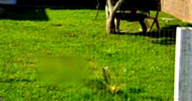 Casa Ocupada com 3 Quartos em Tramandaí/RS