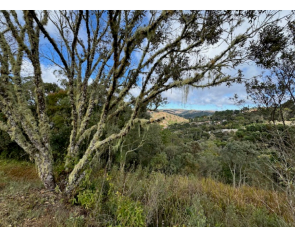 Terreno 1.345m² em Campos do Jordão
