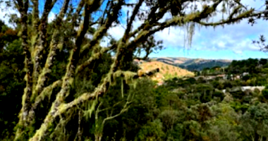 Terreno 1.345m² em Campos do Jordão