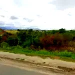 Terreno 6.000m² com construções, testada para Av. Brasil, pagamento em até 60x